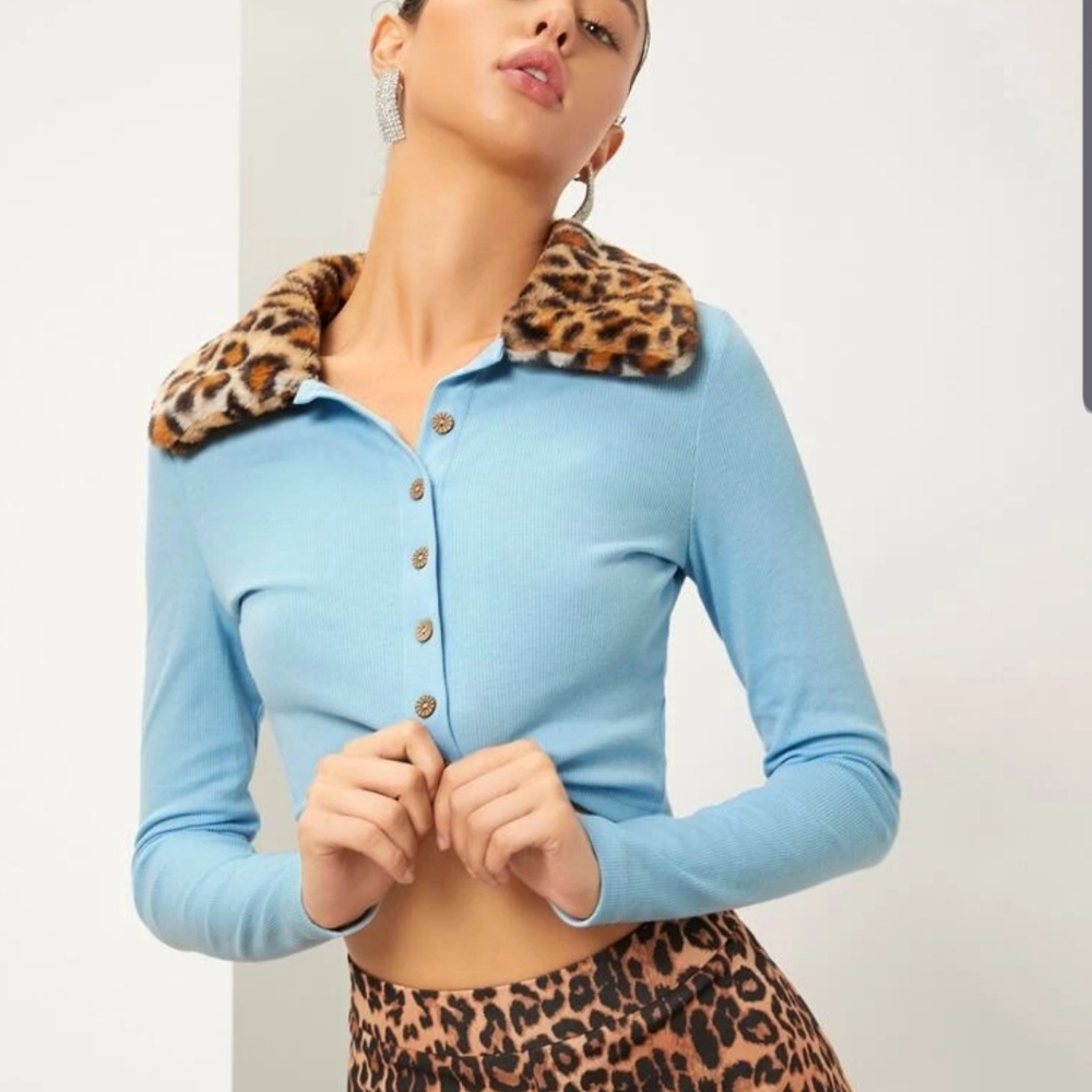 Cheetah fur
